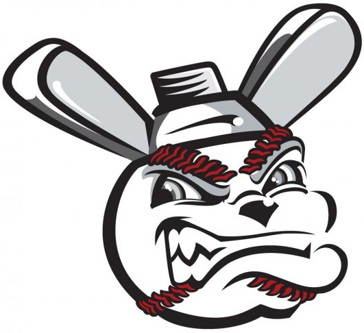 Wichita Wingnuts 2008-Pres Secondary Logo iron on transfers for T-shirts